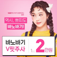 얼굴지방파괴 V핏주사