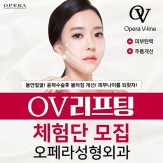 OV 리프팅