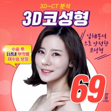 입체분석 3D 코성형