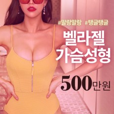 벨라젤 마이크로 500