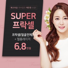 SUPER 프락셀