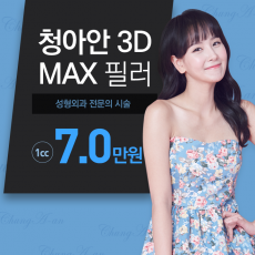 청아안 3D MAX 필러