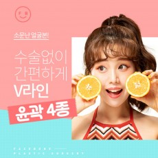 V라인 윤곽 4종