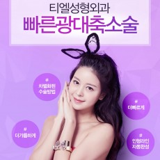 티엘 빠른 광대축소 140