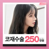 ★아이템 코재수술★250