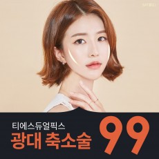 티에스#듀얼픽스광대축소술99