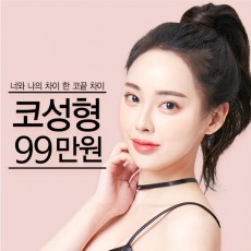 너와 나의 차이 한 코끝 차이 코성형